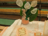 DSC09401